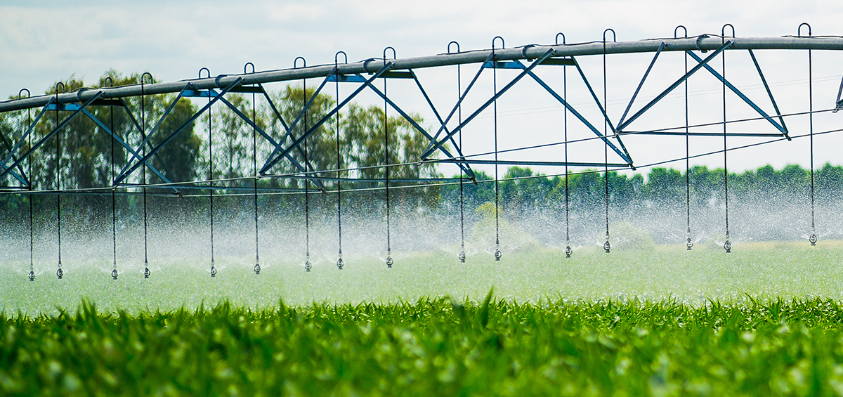 Water Resources & Irrigation
